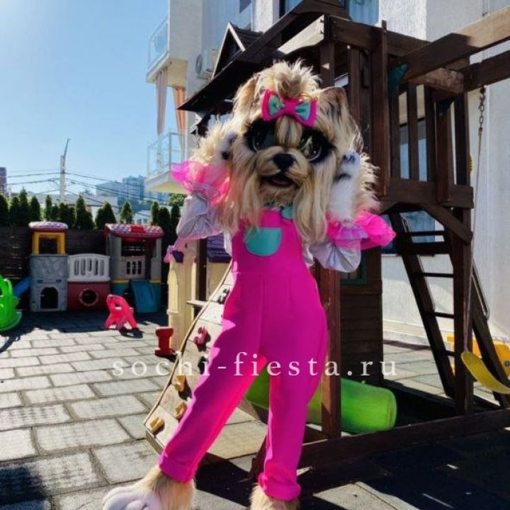Аниматор Гламурная Собака в Ульяновске