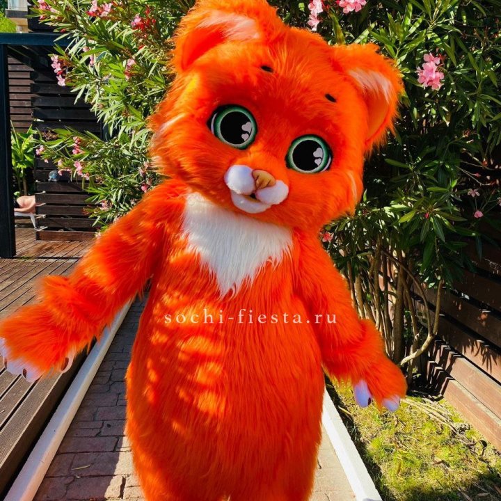 Аниматор Котик в Ульяновске