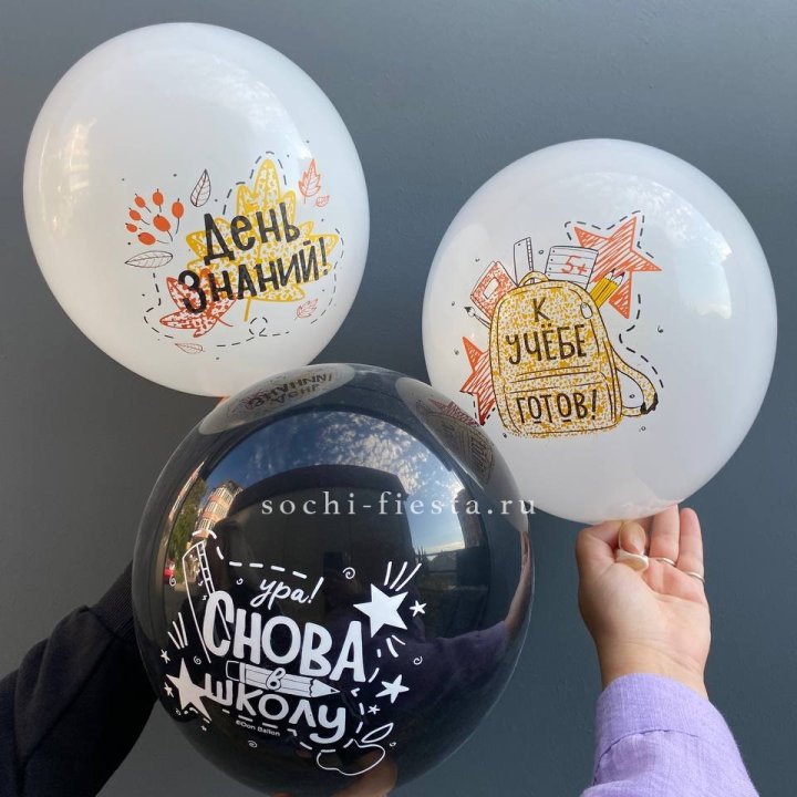 Воздушный шар к 1 сентября в Ульяновске