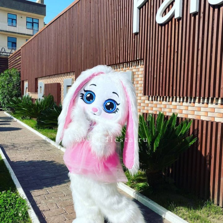 Аниматор Зайка в Ульяновске