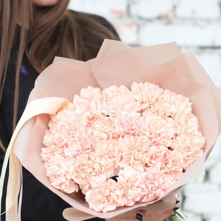 Диантусы №2 в Ульяновске