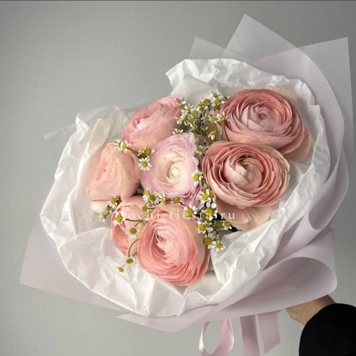 Ранункулюсы с ромашками в Ульяновске