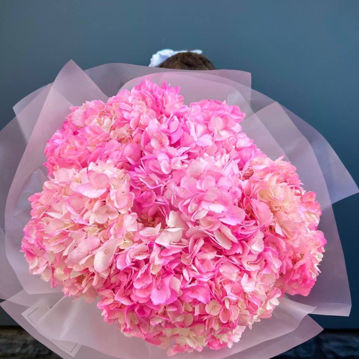 9 ярко розовых гортензий в Ульяновске