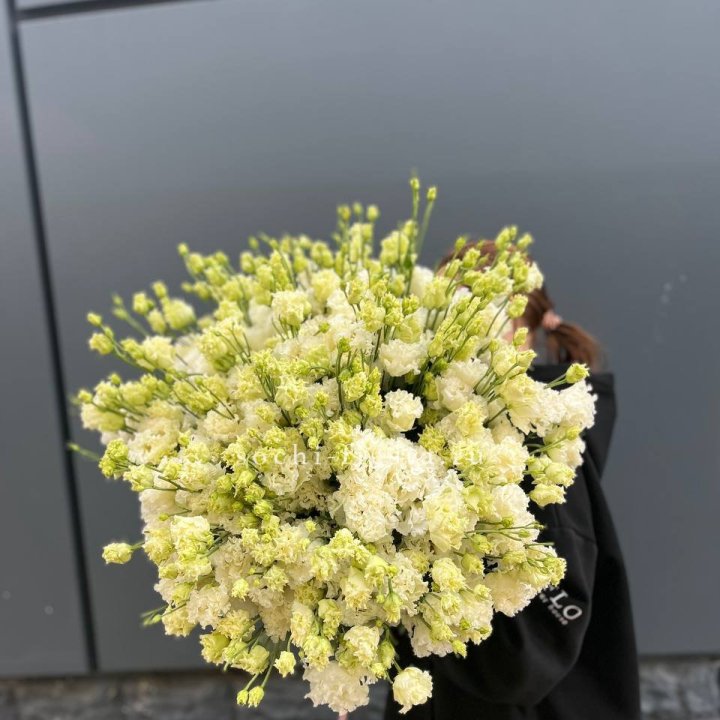 51 белая эустома в Ульяновске