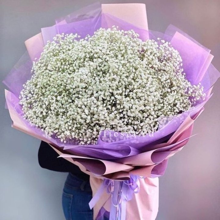 Облако белых гипсофил в Ульяновске