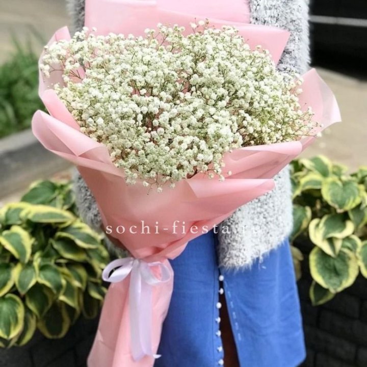 Белоснежные гипсофилы в Ульяновске