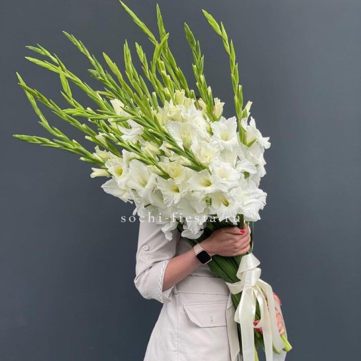 19 белых гладиолусов под ленту в Ульяновске