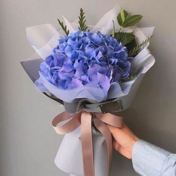 Гортензия голубая в Ульяновске