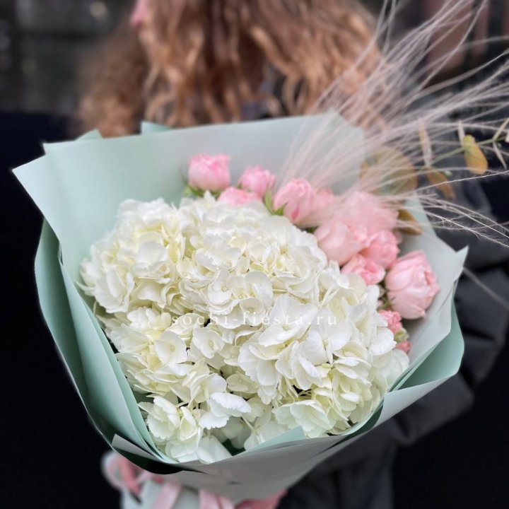 Гортензия "Жасмин" в Ульяновске