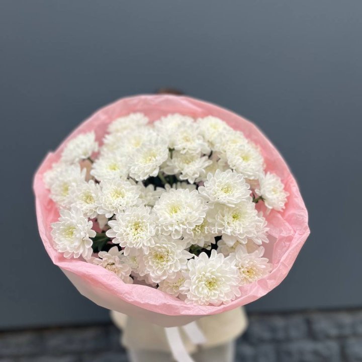  5 хризантем  в Ульяновске