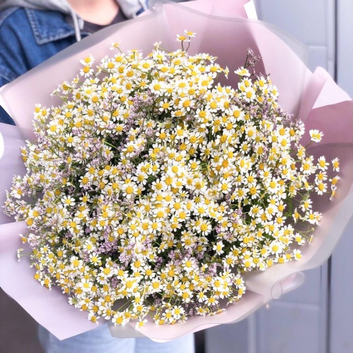 Букет ромашек №1 в Ульяновске