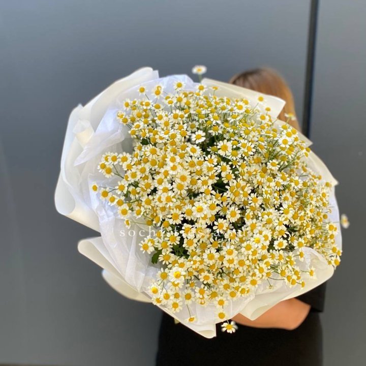 Букет ромашек "Фемели" в Ульяновске
