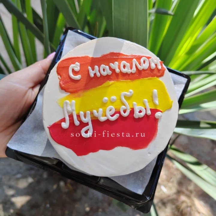 Бенто-торт "С началом учёбы"" в Ульяновске