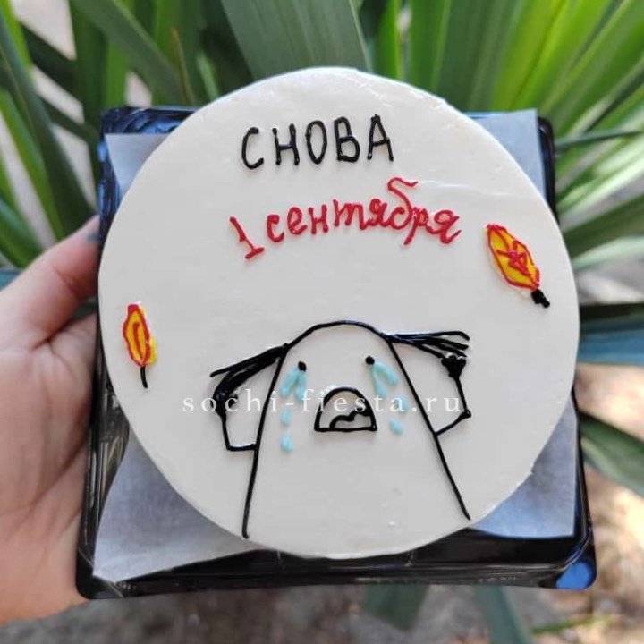 Бенто-торт "Не опять, а снова..." в Ульяновске