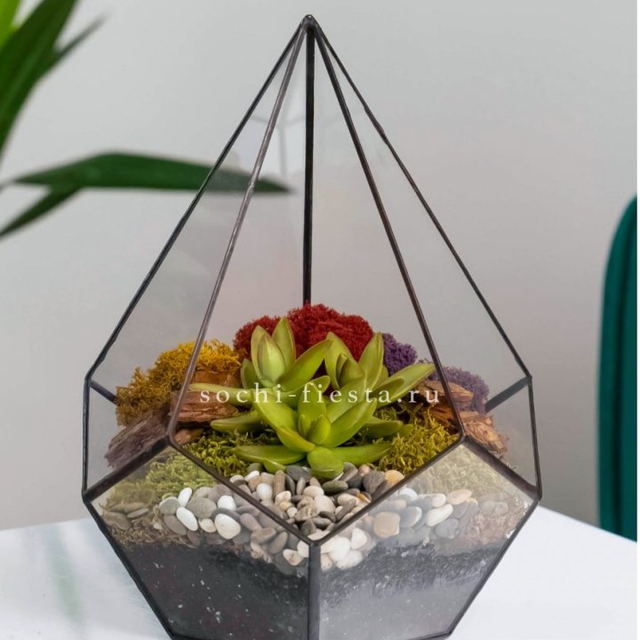 Флорариум Капля с суккулентом в Ульяновске