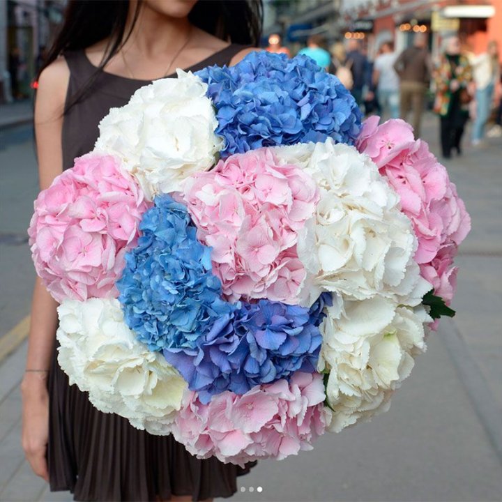 Букет гортензий "Инь-Янь" в Ульяновске