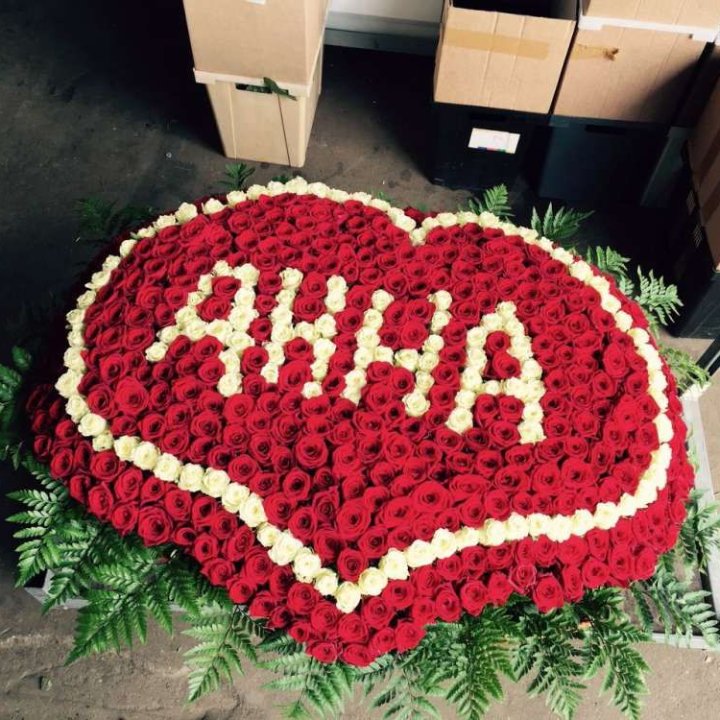 555 роз с именем в Ульяновске