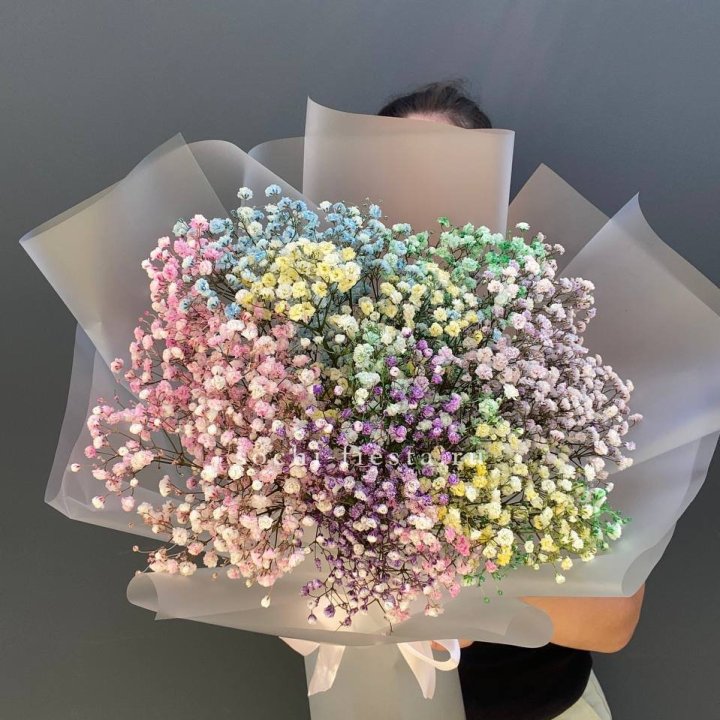 Радужные гипсофилы  в Ульяновске