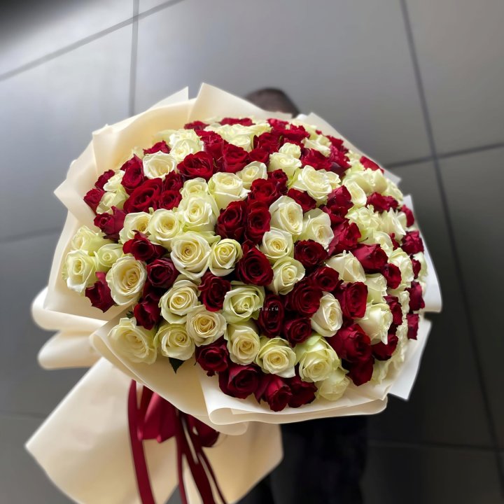 101 высокая импортная роза  в Ульяновске