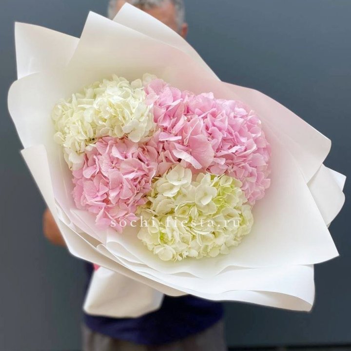 Букет гортензий №5 в Ульяновске