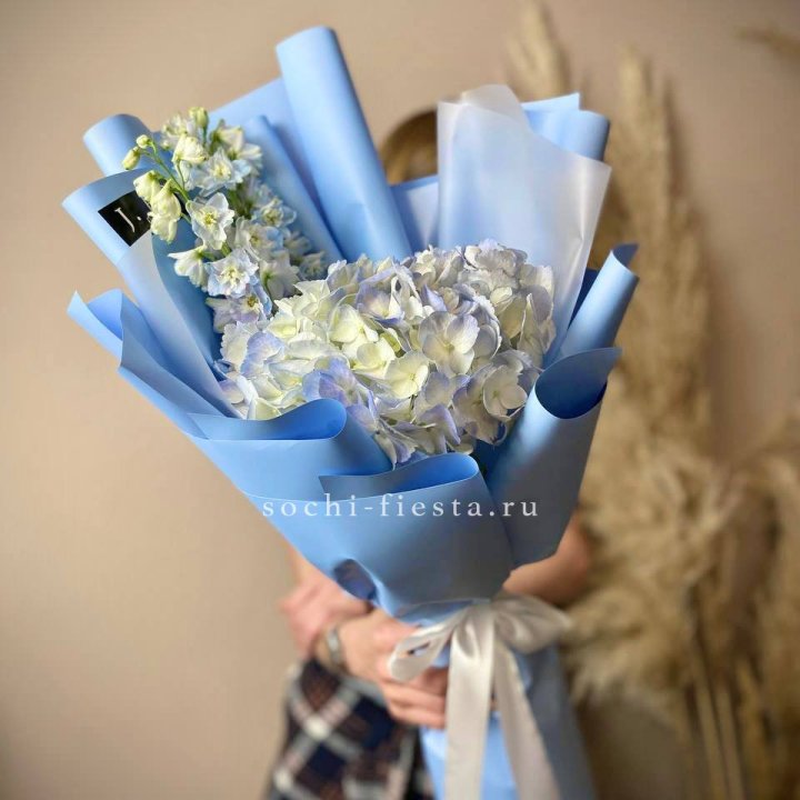 Гортензия "Блю скай" в Ульяновске