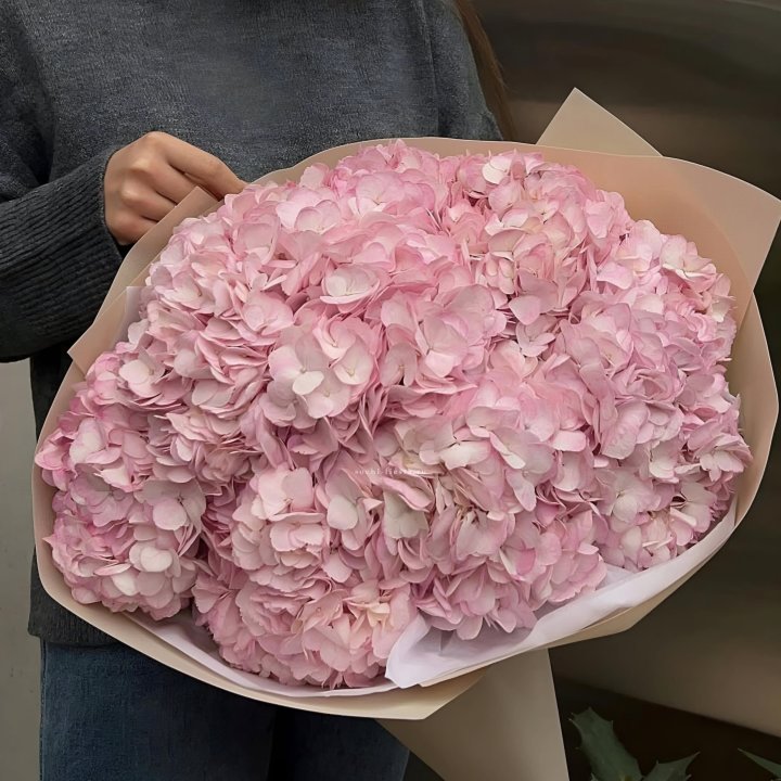 Гортензия  "РОЗЕ" в Ульяновске