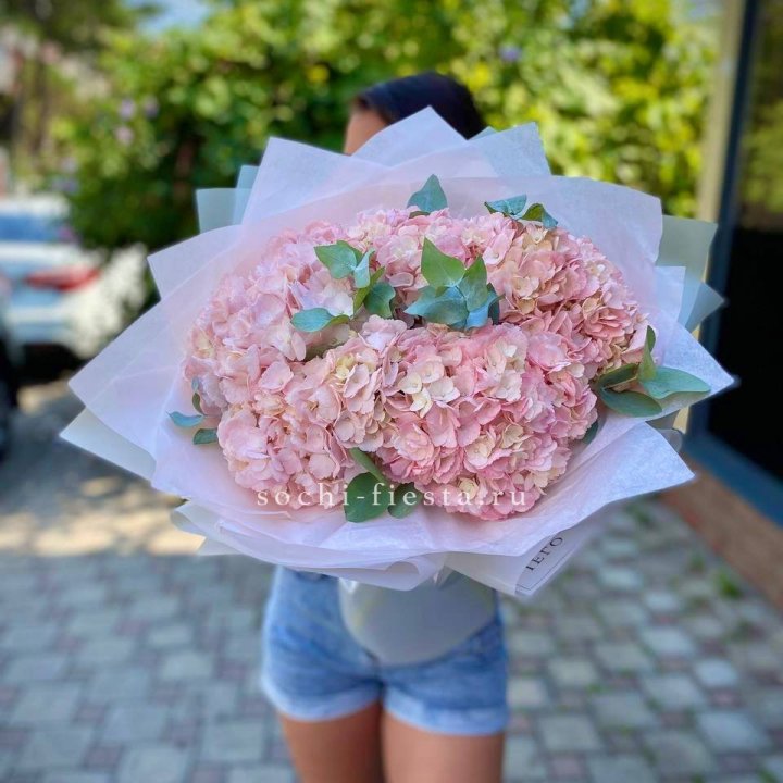 5 розовых гортензий  в Ульяновске