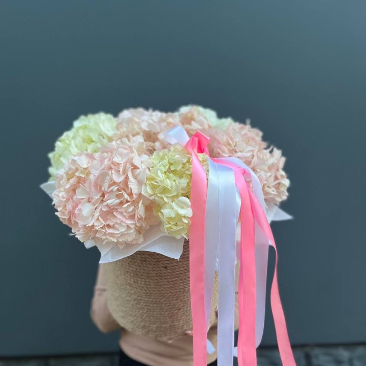 7 гортензий в кашпо в Ульяновске