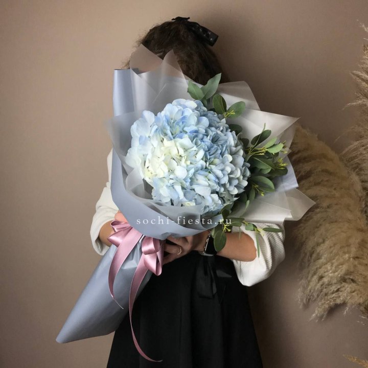 Гортензия Уно в Ульяновске