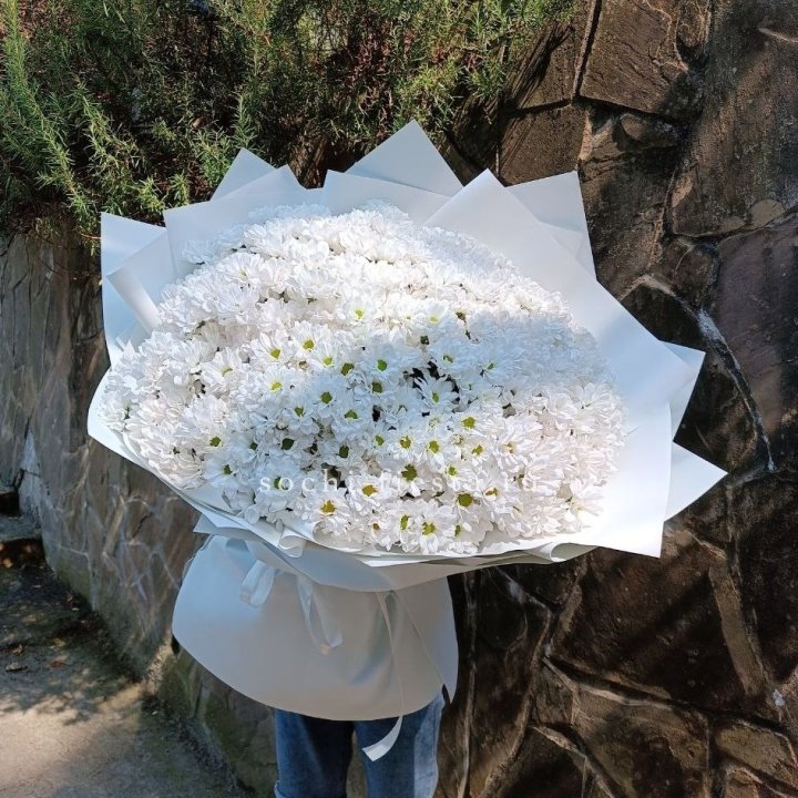 Облако хризантем №2 в Ульяновске