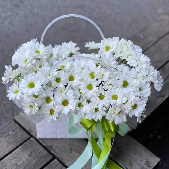 Сумка с хризантемами ромашками в Ульяновске