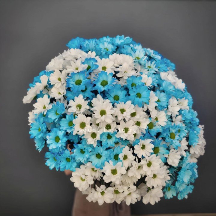  Букет хризантем микс в Ульяновске