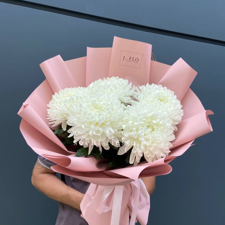 Профитроли №2 в Ульяновске