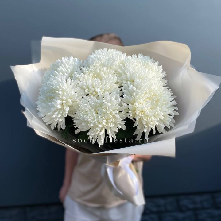 Профитроли в Ульяновске