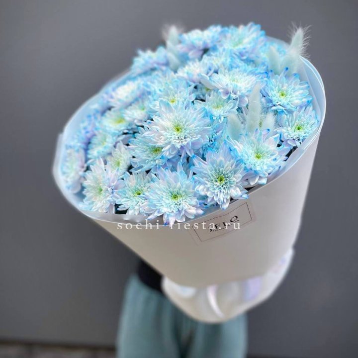  Букет нежно-голубых хризантем  в Ульяновске