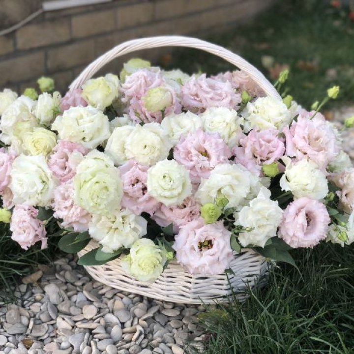 Корзина с эустомой в Ульяновске