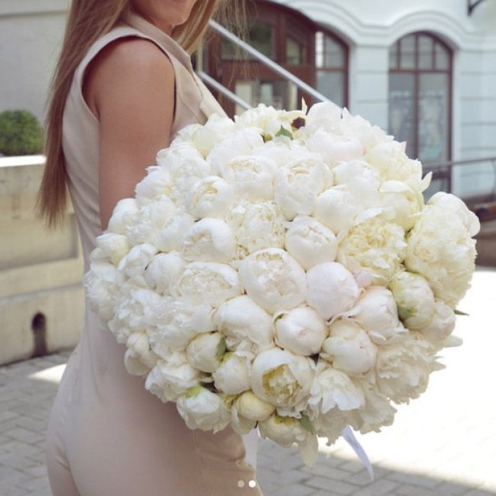 51 белый пион в Ульяновске