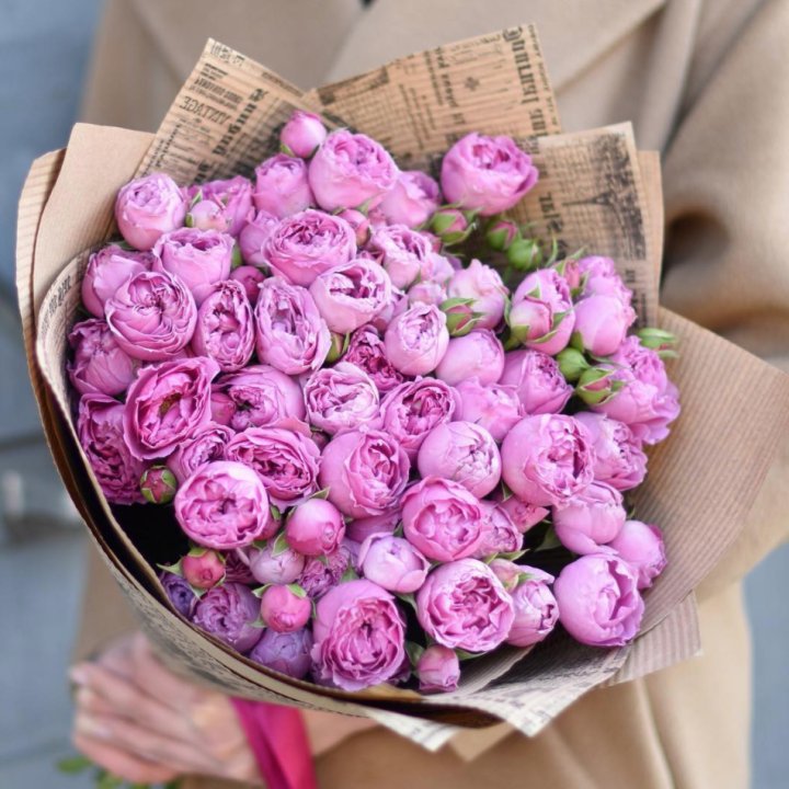 Роза Мисти Баблс в Ульяновске