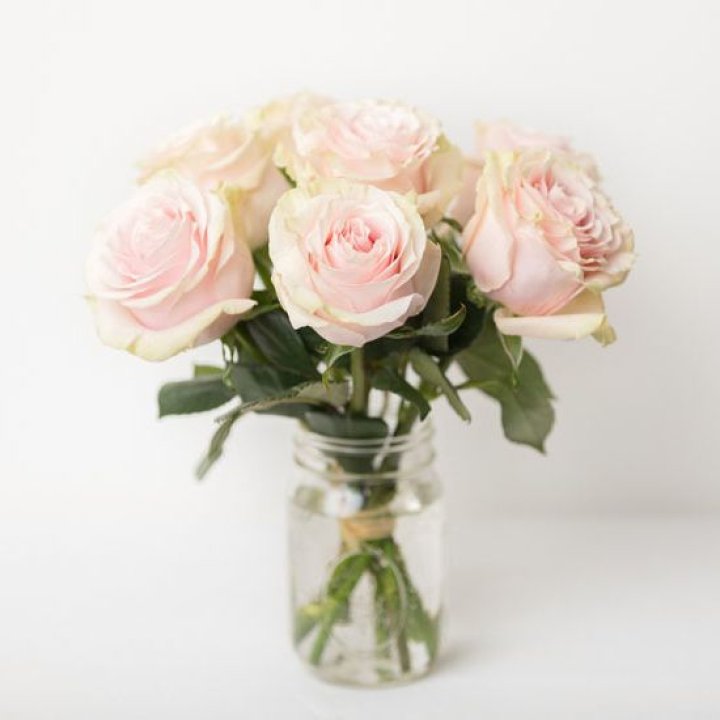 7 кремовых роз в Ульяновске