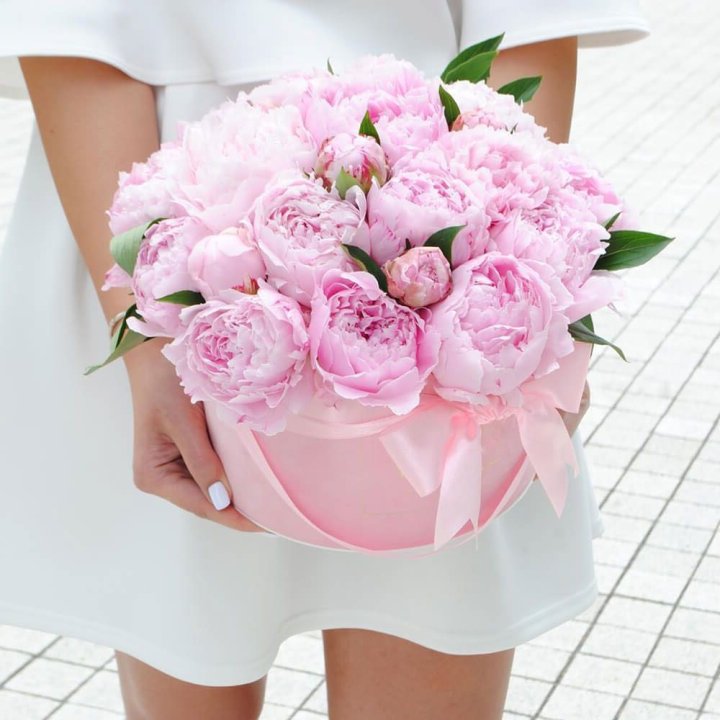 Пионы в шляпной коробке в Ульяновске