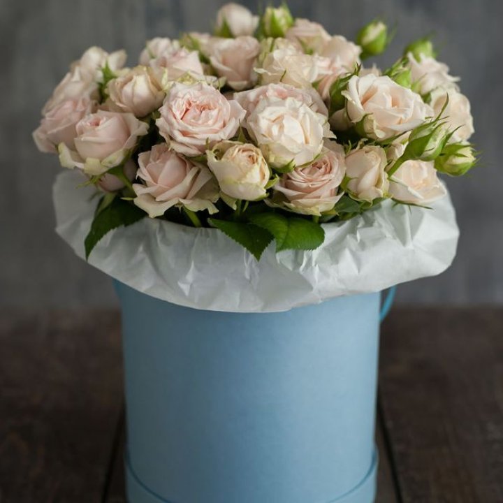 Бокс с бомбастиком в Ульяновске