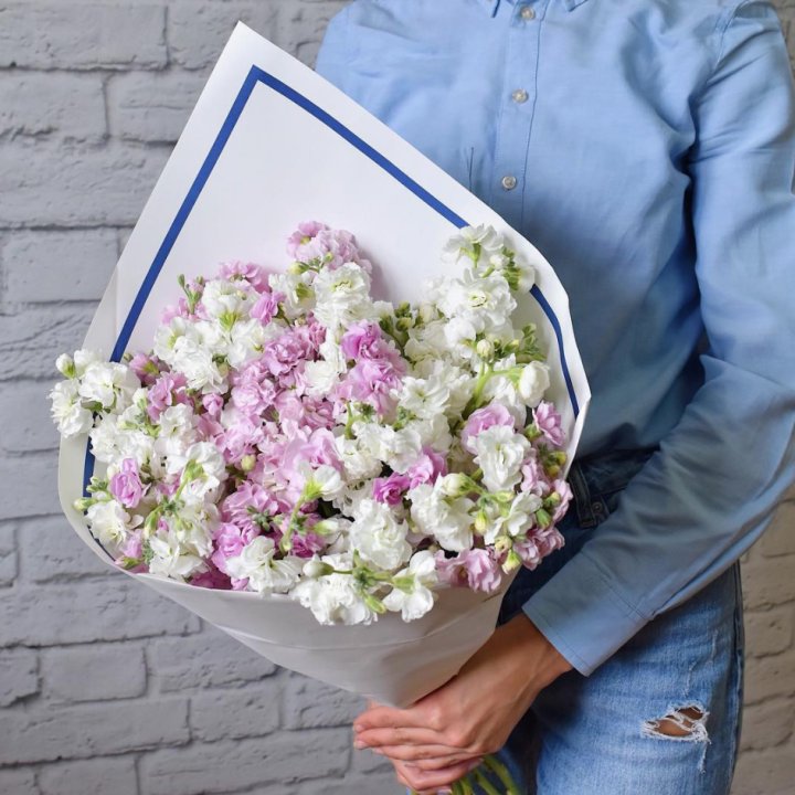 Маттиола в Ульяновске