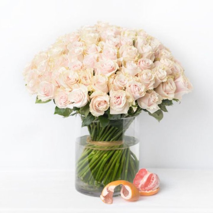 101 кремовая роза в Ульяновске