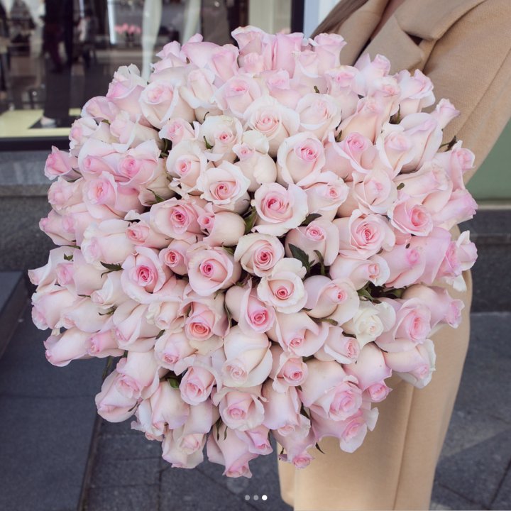 Розы "Пинк бум" в Ульяновске