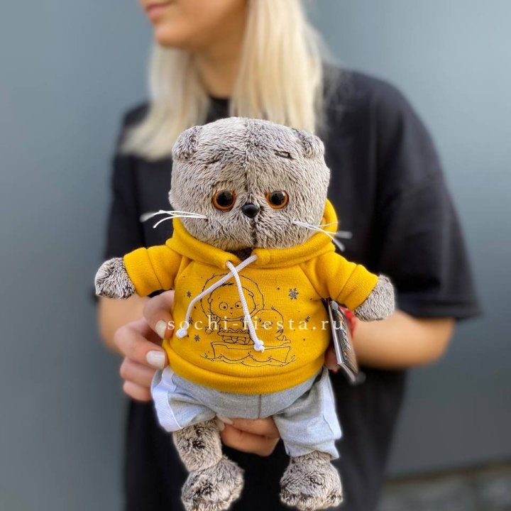 Кот Басик в худи в Ульяновске