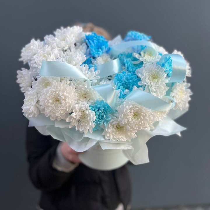 Хризнтемы в боксе в Ульяновске