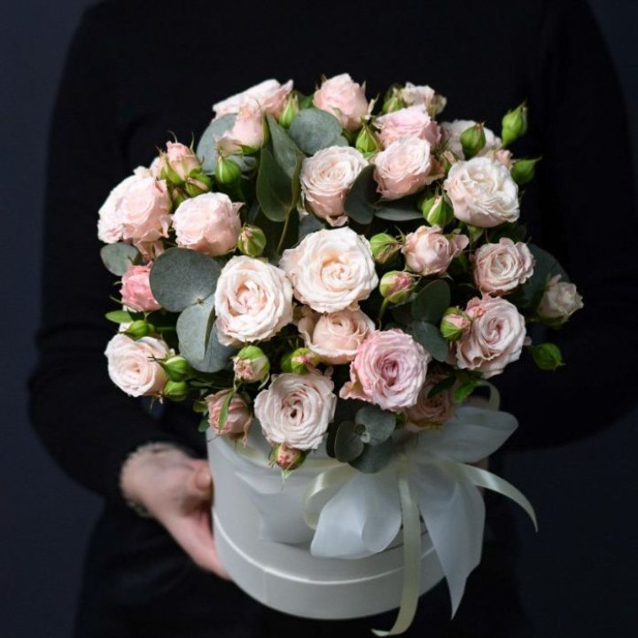 Бомбастик бокс №2 в Ульяновске