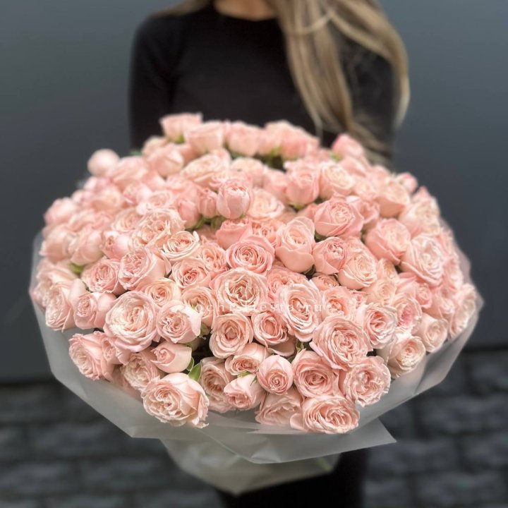 51 кустовая роза Бомбастик в Ульяновске