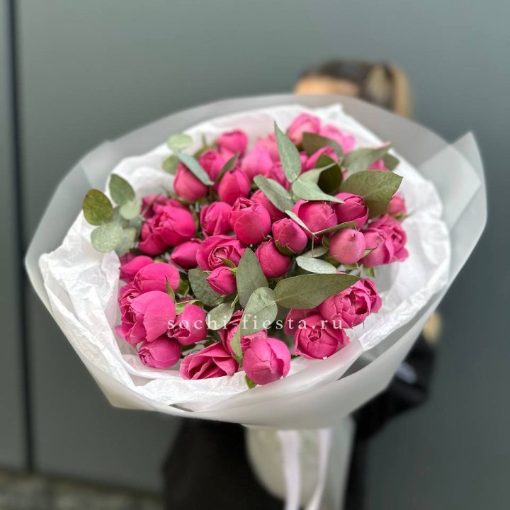 17 Мисти бабблс в Ульяновске