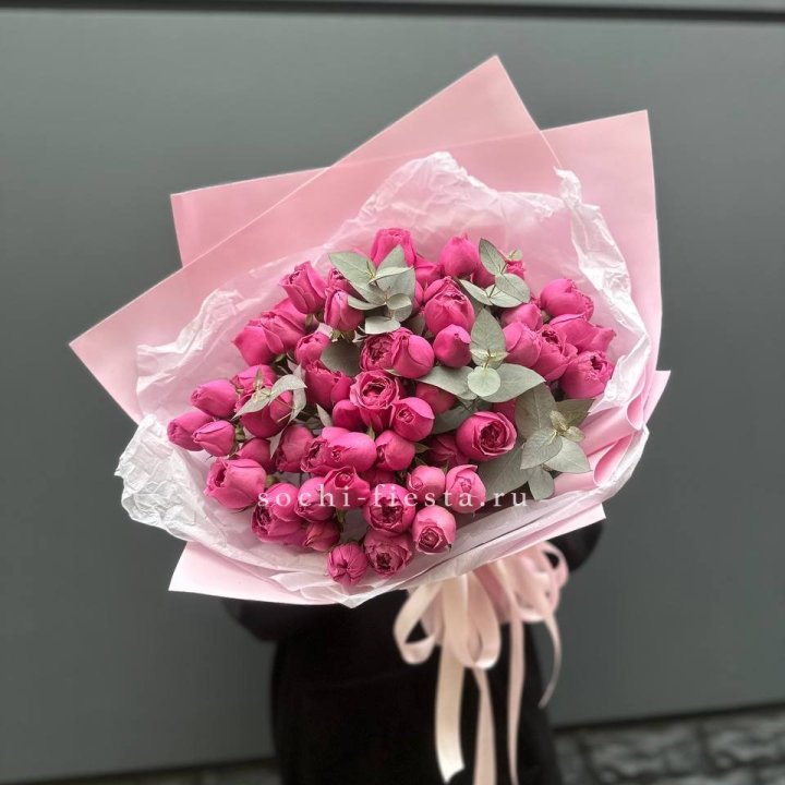 25 Мисти бабблс в Ульяновске